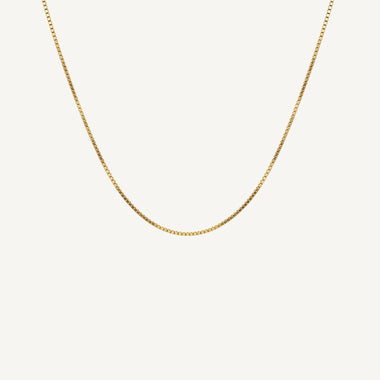 10K Yellow Gold Verve Petite Box Chain Necklace (18–22")