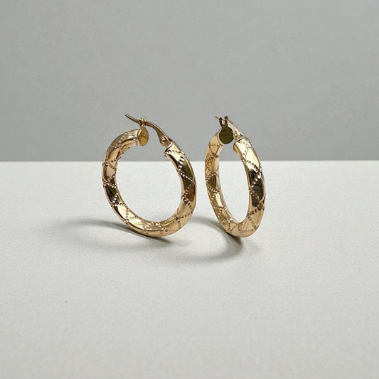 Aelia Aura in 10K Yellow Gold Hoop Earrings