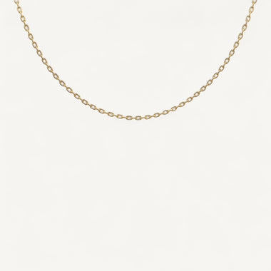 10K Yellow Gold Vero Graceful Oval Cable Chain Necklace (18–24")