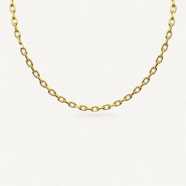 Men's 10K Yellow Gold Vero Substantial Oval Cable Chain Necklace (20–24")